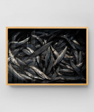 Quadro e poster Sardinha São Vincente Portugal - Quadrorama